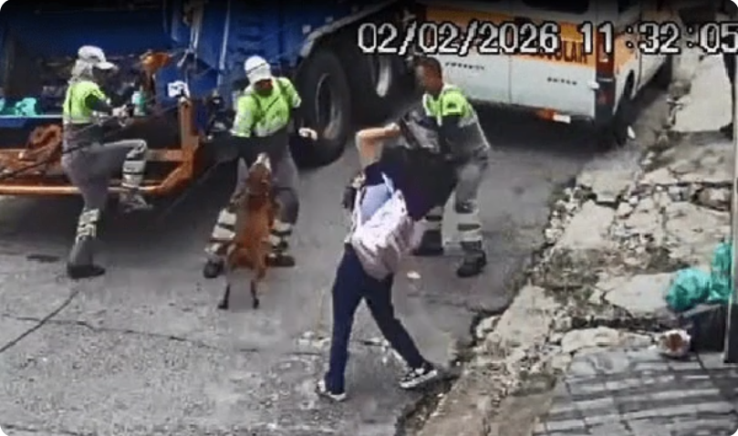 Ataque de pitbull deixa coletores de lixo feridos e reacende alerta sobre guarda responsável na zona sul de SP
