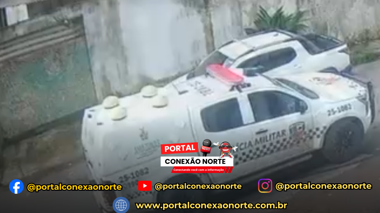 População se indigna após viatura da PM atropelar e matar dois cães e ir embora sem ajudar